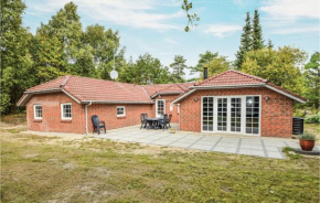 4 Bedroom Pet Friendly Home In Blåvand